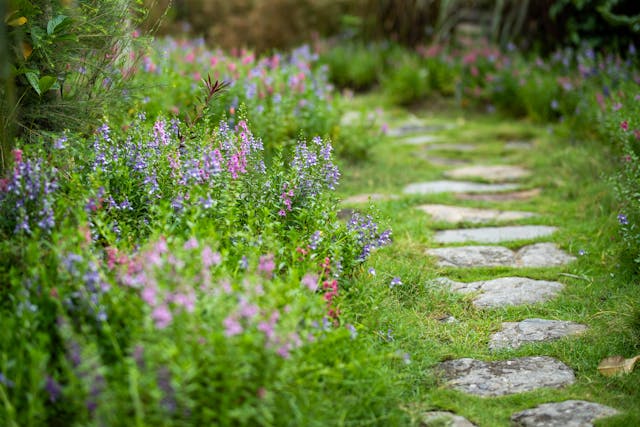 garden-path-way garden-path-way